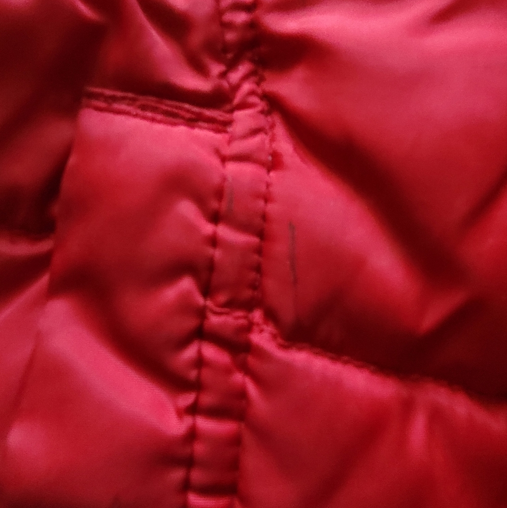 Winter Coat - Picture 2 of 3